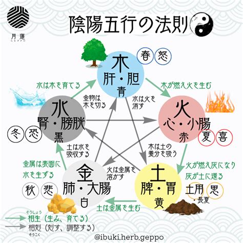 太極五行|陰陽五行説 – 陰陽道・五行説をわかりやすく解説【図。